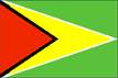 Flagge Guyana